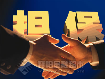 2013年担保业形势乐观